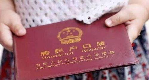 电视剧户口在线观看,揭秘现代都市户口变迁的电视剧  第2张