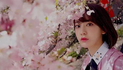 小樱花爆料韩国视频,韩国热门视频背后的故事  第2张